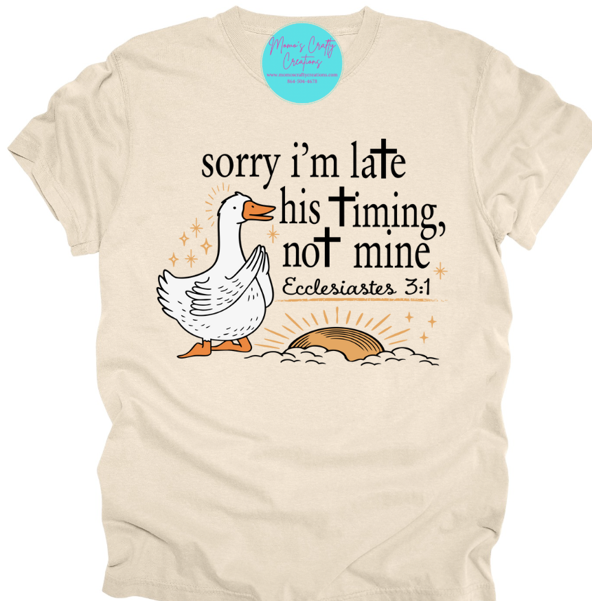 SORRY I'M LATE HIS TIMING NOT MINE