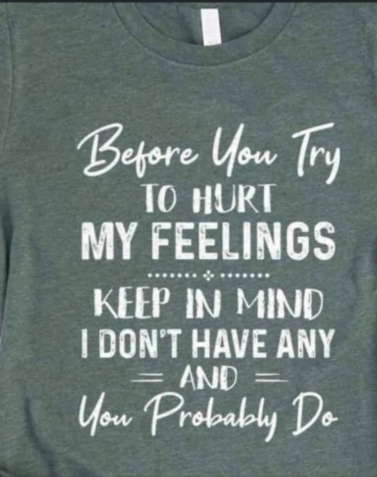 Before you try to Hurt my feelings