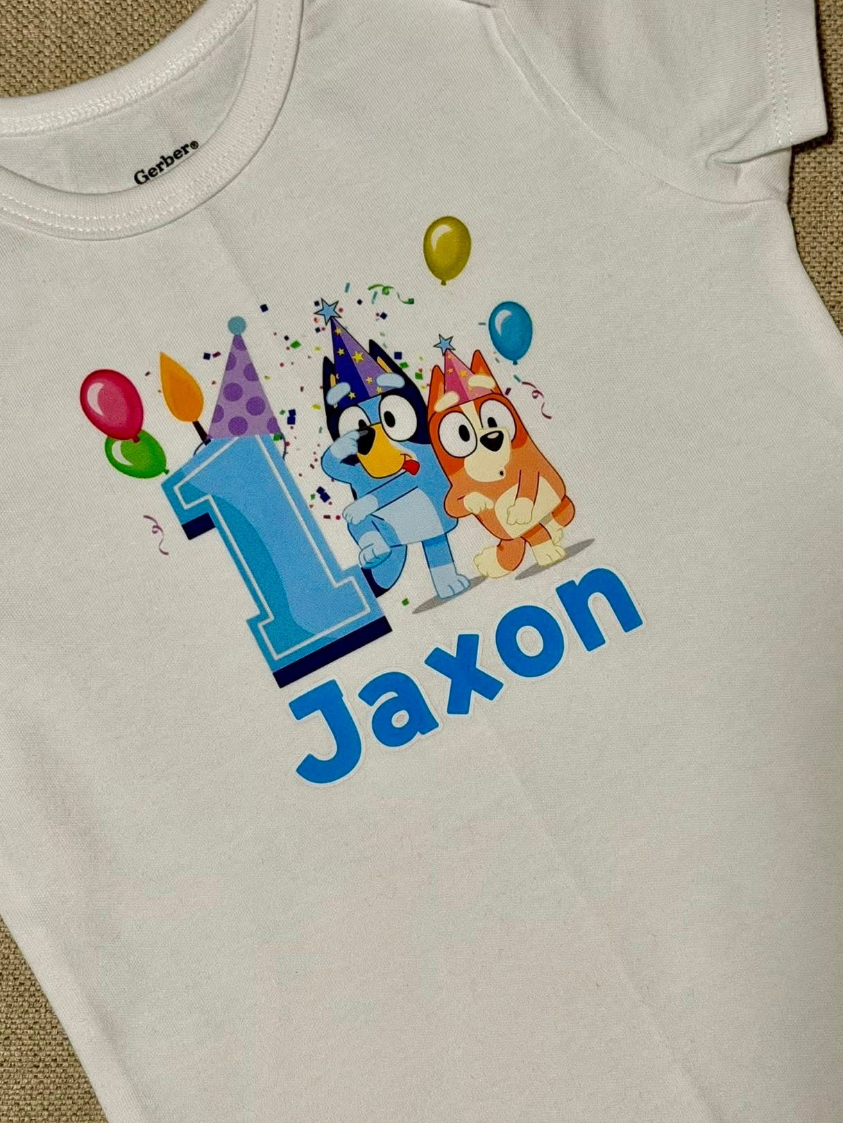 Bluey 1st Birthday Boy Family Bundle