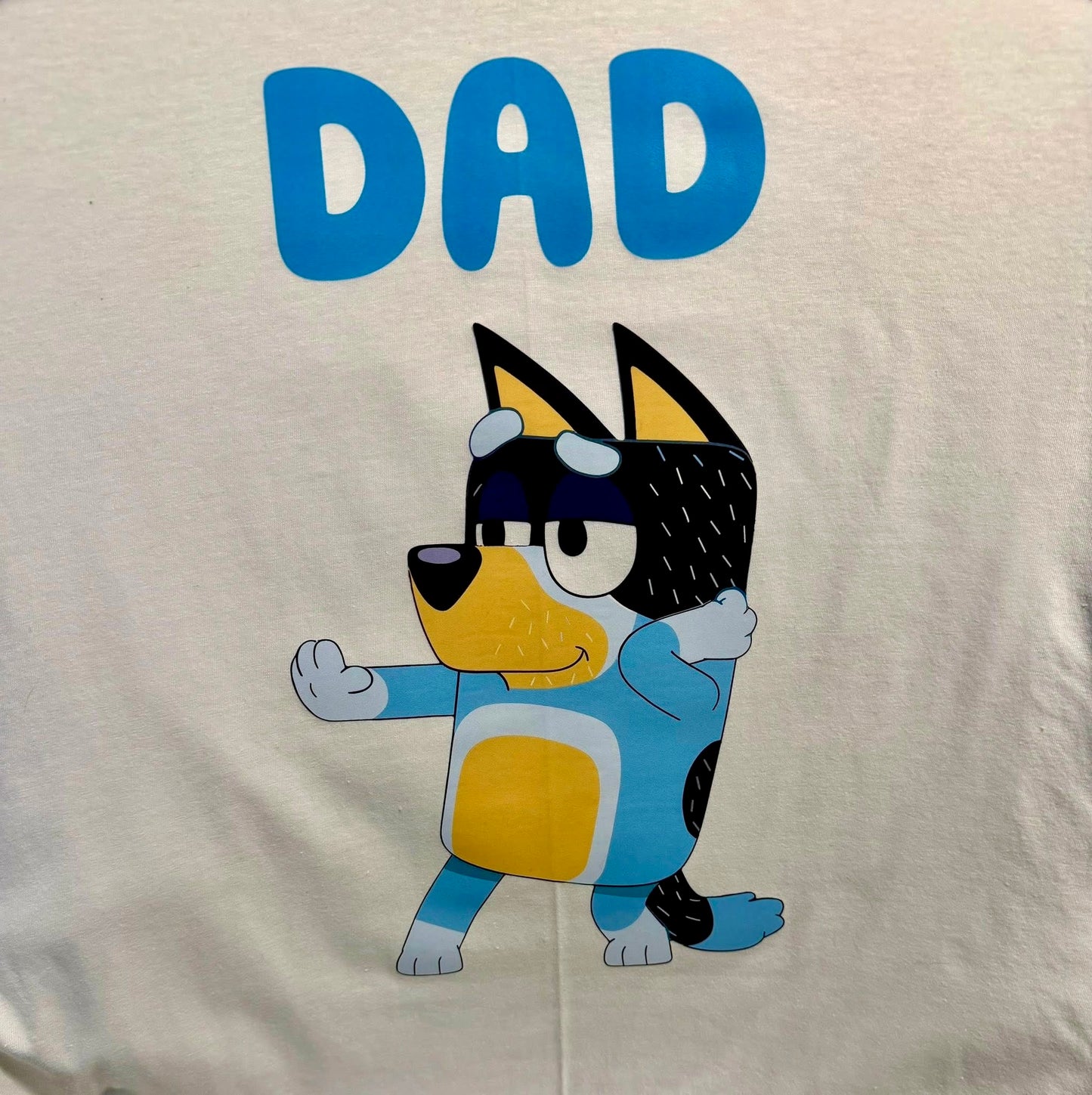 Bluey 1st Birthday Boy Family Bundle