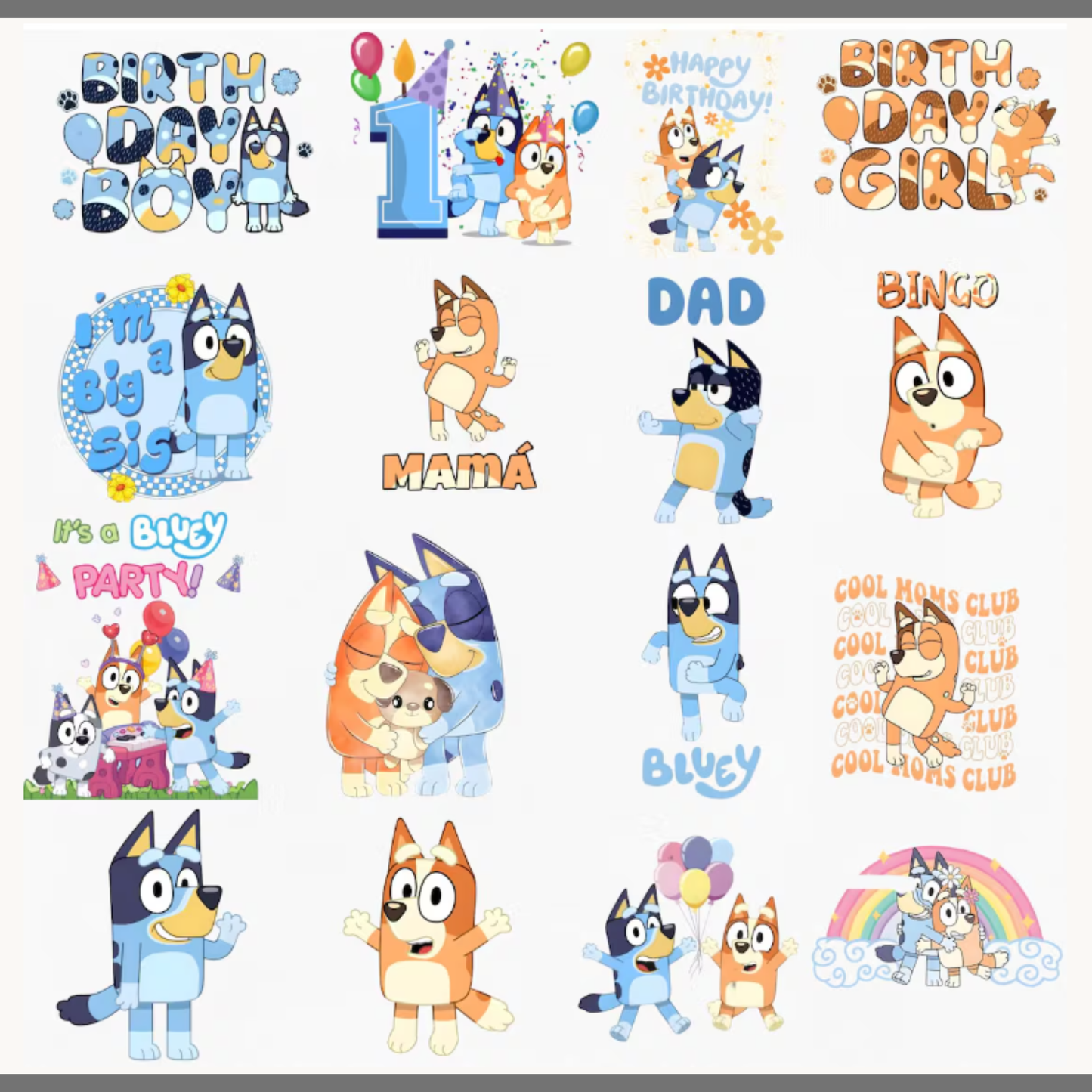 Bluey 1st Birthday Boy Family Bundle