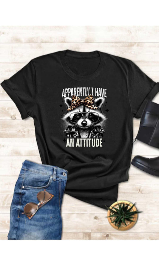 APARENTALLY I HAVE AN attitude
